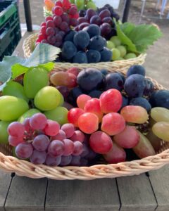 高級ぶどうかご盛り食べ放題｜桃（もも）・葡萄（ぶどう）食べ放題  