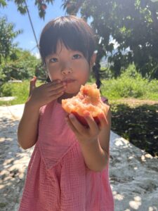 桃食べ放題