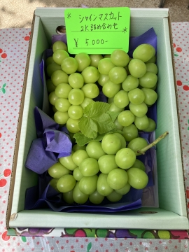 シャインマスカット2kg